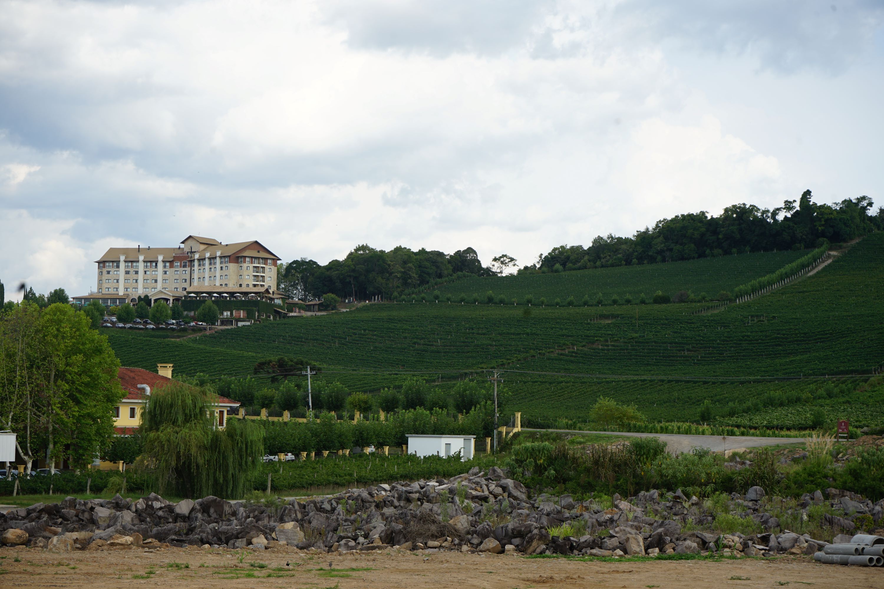 Lidio Carraro - Vinmarker